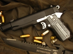 1911/2011 pistols _16