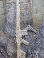 Varmint ar-15 in Desert camo_4