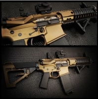 Ar-15 tactcial group_6